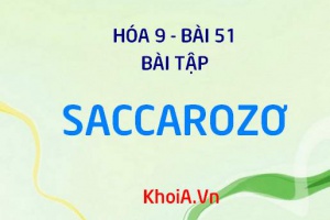 Bài tập về Saccarozơ: Giải bài tập 1, 2, 3, 4, 5, trang 155 SGK Hóa 9 bài 51